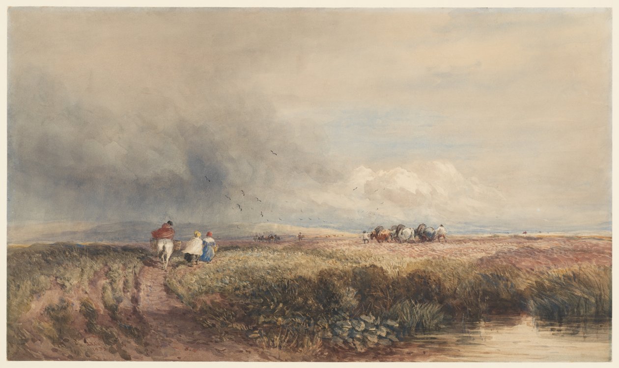 Kotimatka tekijältä David Cox