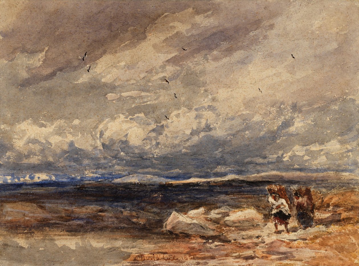 Carrington Mossissa tekijältä David Cox