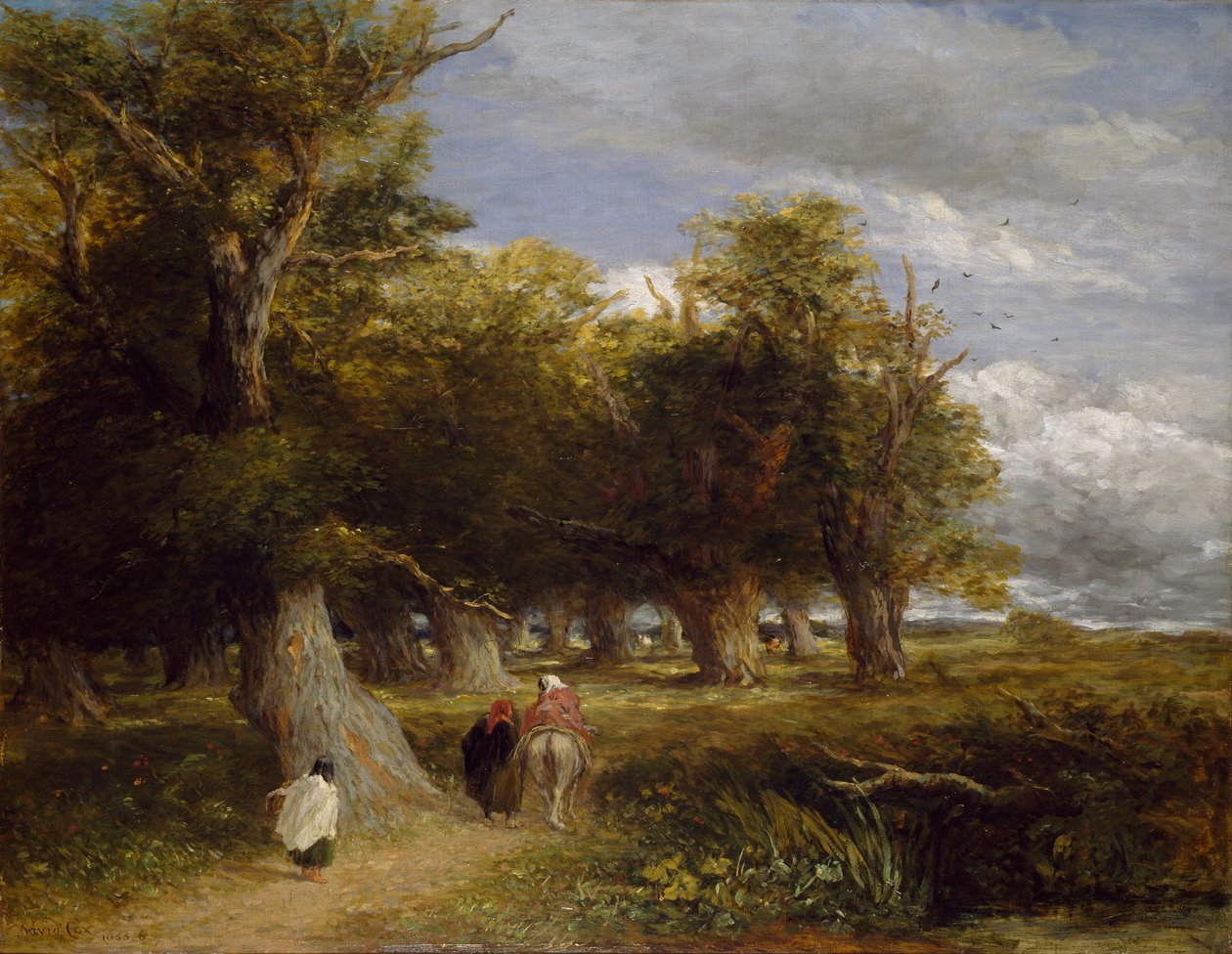 Metsän hameet, 1855 tekijältä David Cox