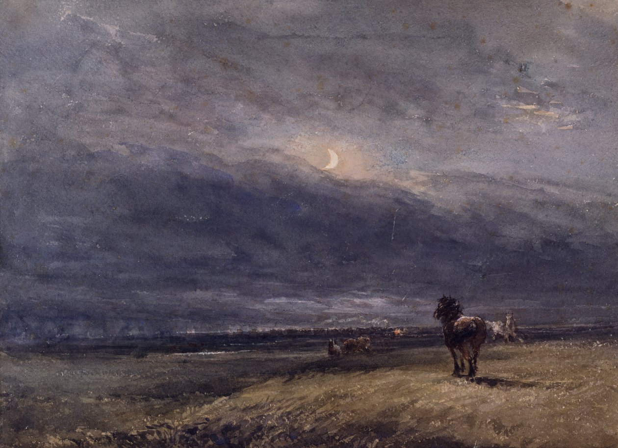 Yöjuna tekijältä David Cox