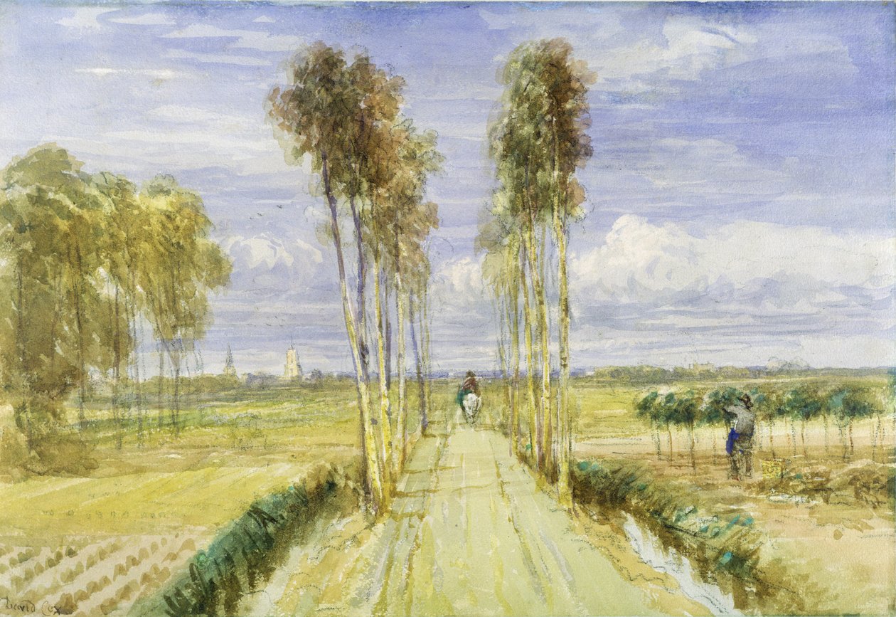 Poplar Avenue (akvarelli lyijykynällä ja musta liitu paperille) tekijältä David Cox