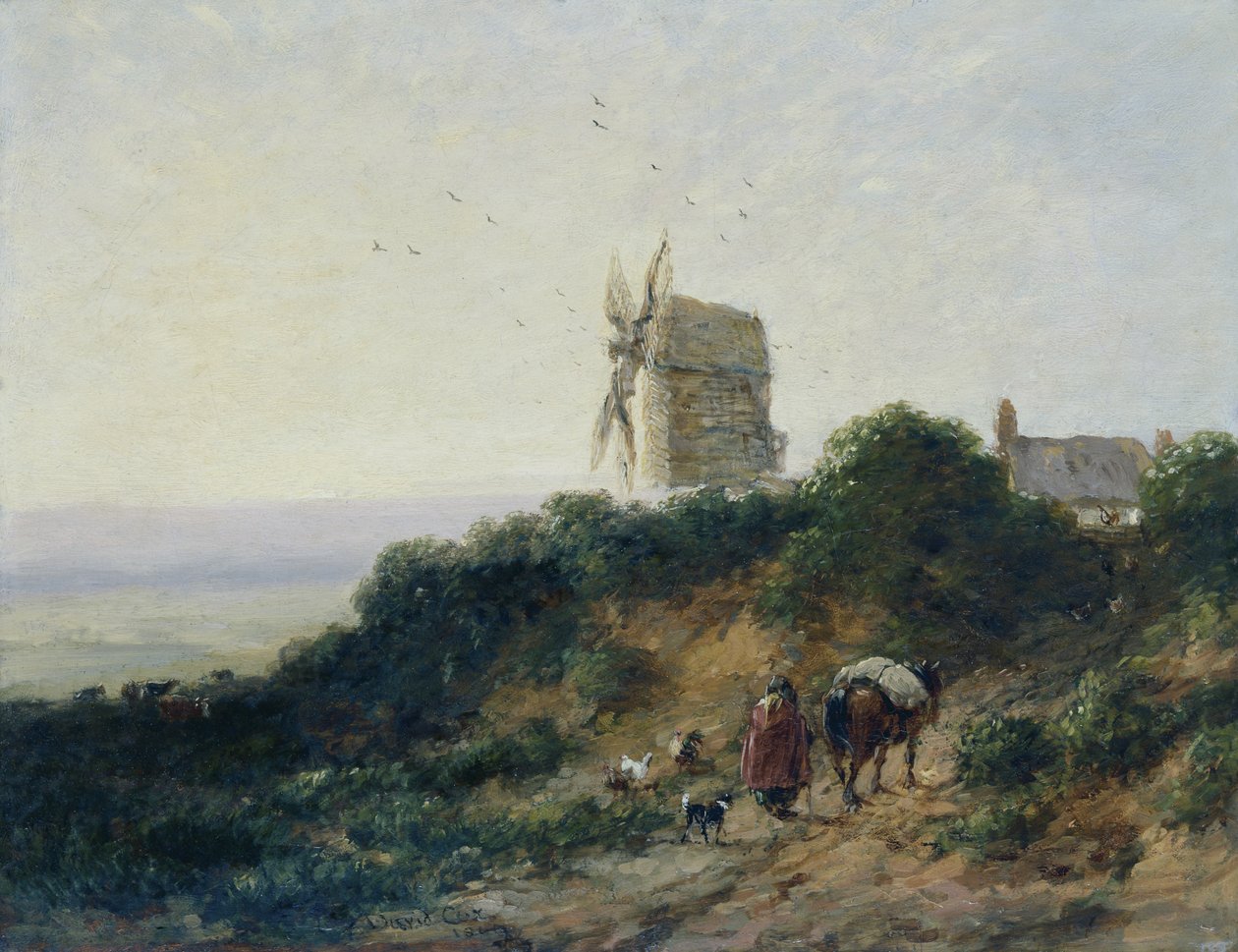 Tie myllylle tekijältä David Cox
