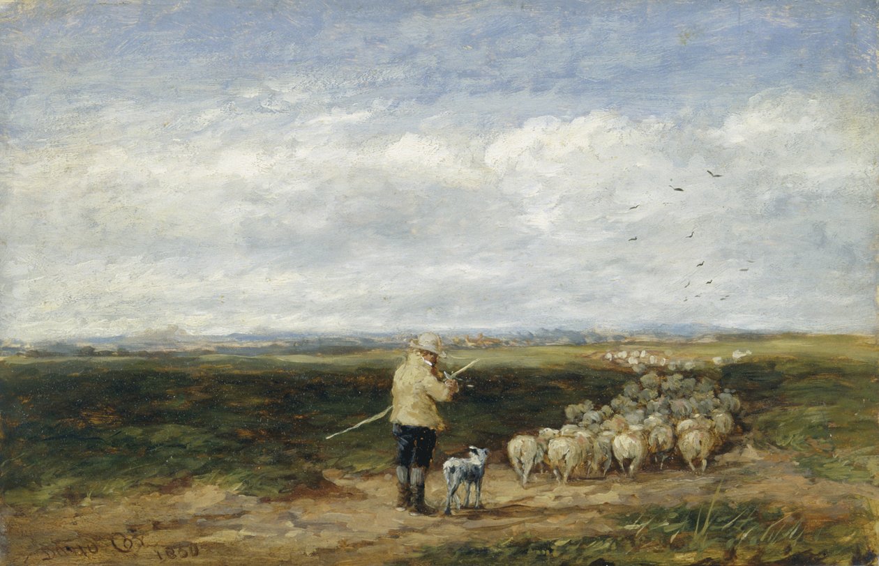 Paimen, lauman paluu tekijältä David Cox