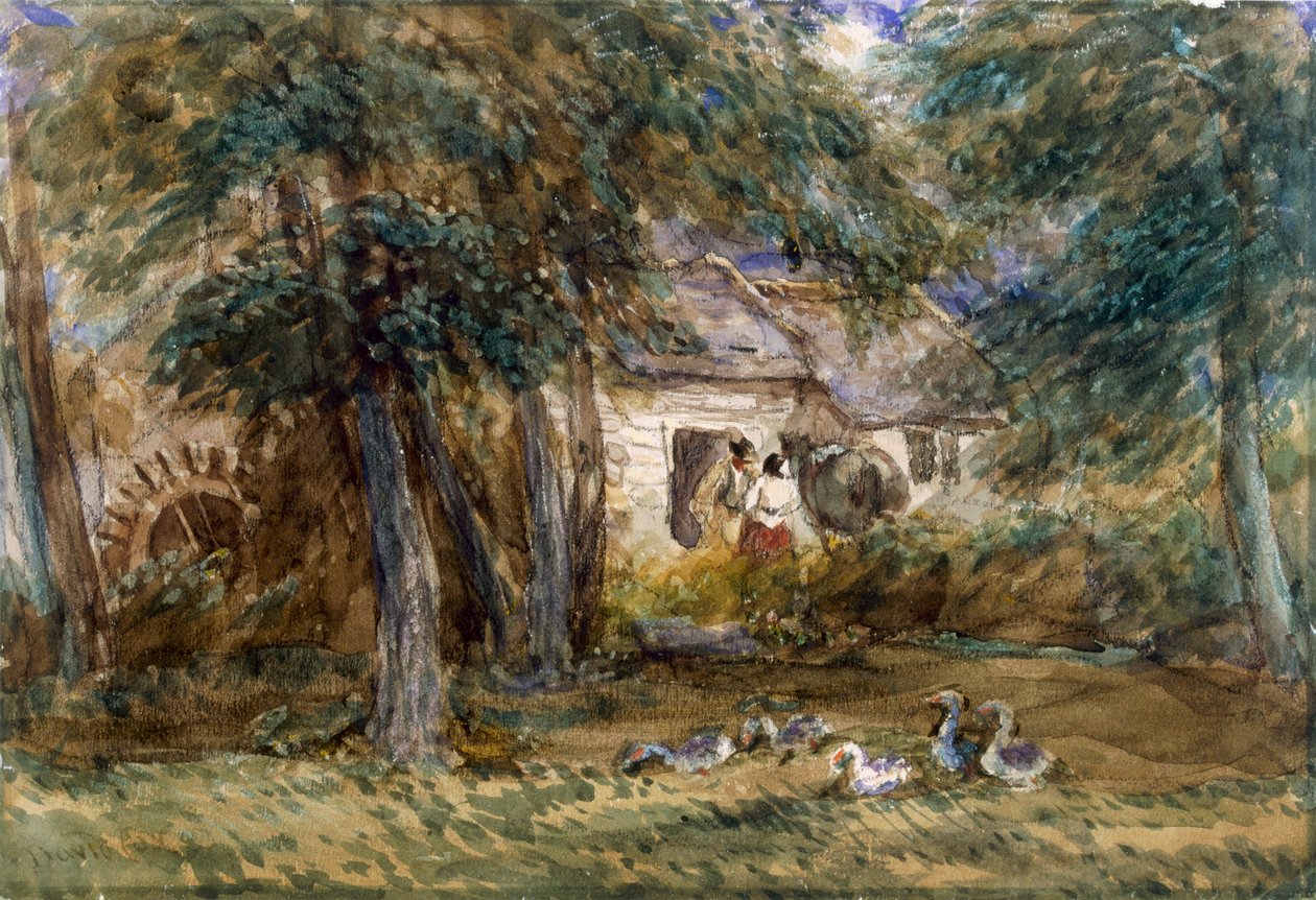 Vesimylly tekijältä David Cox