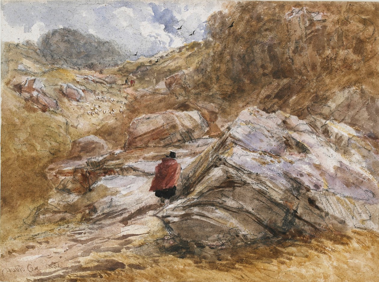 Vuoristosola Bettws-y-Coedissa, 1851 tekijältä David Cox the elder