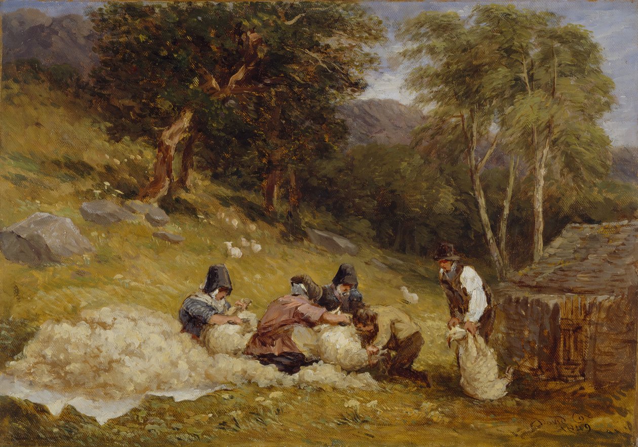 Lammasleikkaus, 1849. tekijältä David Cox the elder