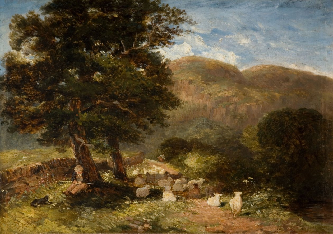 Tending Sheep, Bettws-y-Coed, 1849. tekijältä David Cox the elder