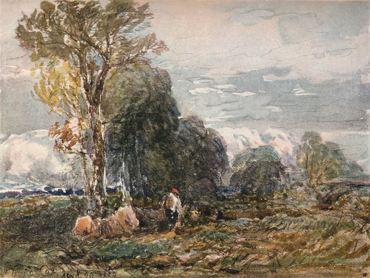 Puunhakkaaja, 1858 tekijältä David Cox the elder