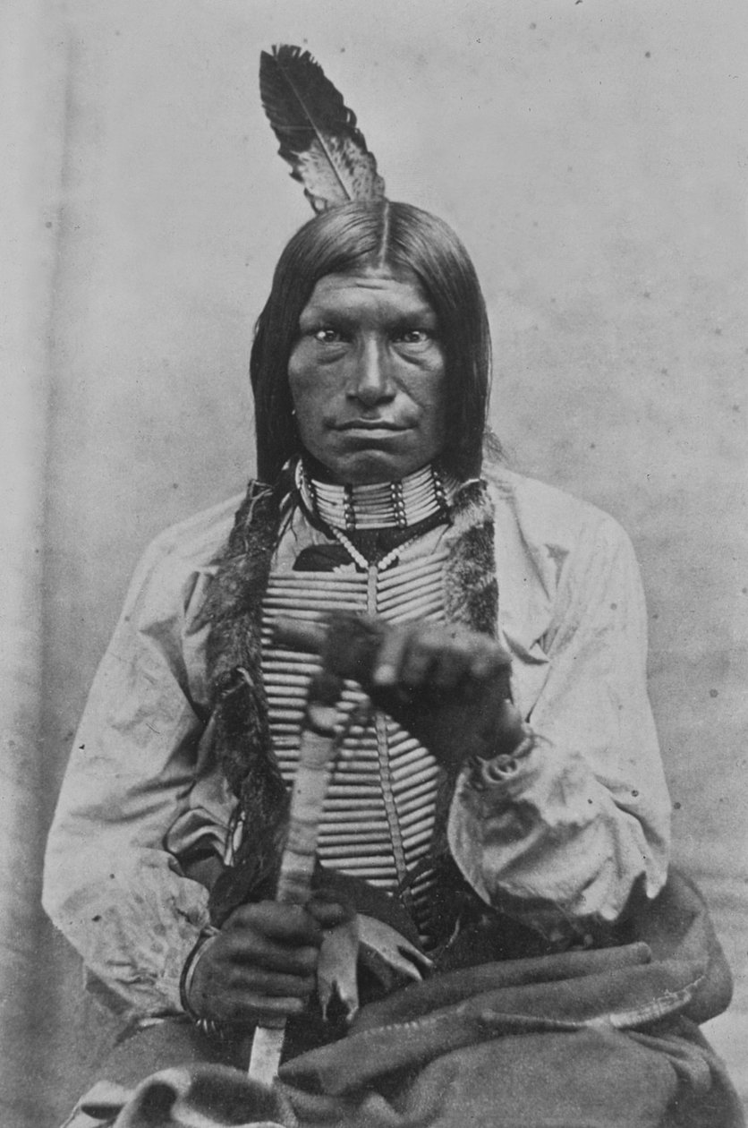 Low Dog War Chief (m/w kuva) tekijältä David Frances Barry