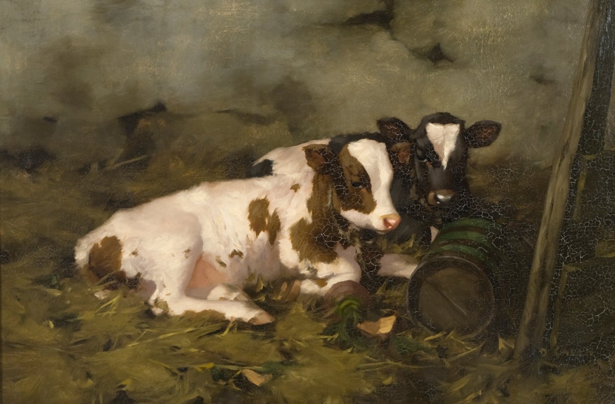 Vasikat, n. 1900 (öljy kankaalle) tekijältä David Gauld