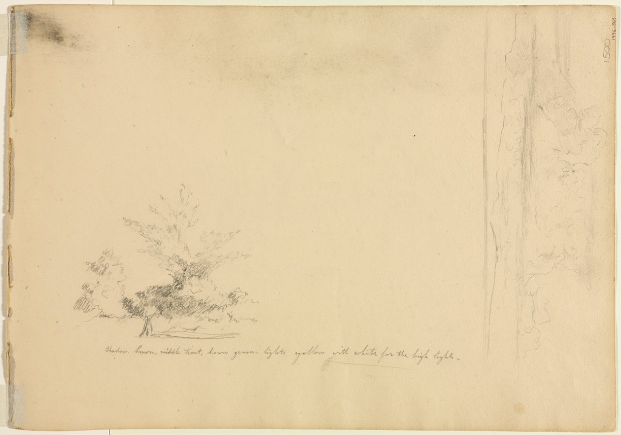 Maisema- ja puututkimukset päinvastoin, n. 1851. tekijältä David Johnson
