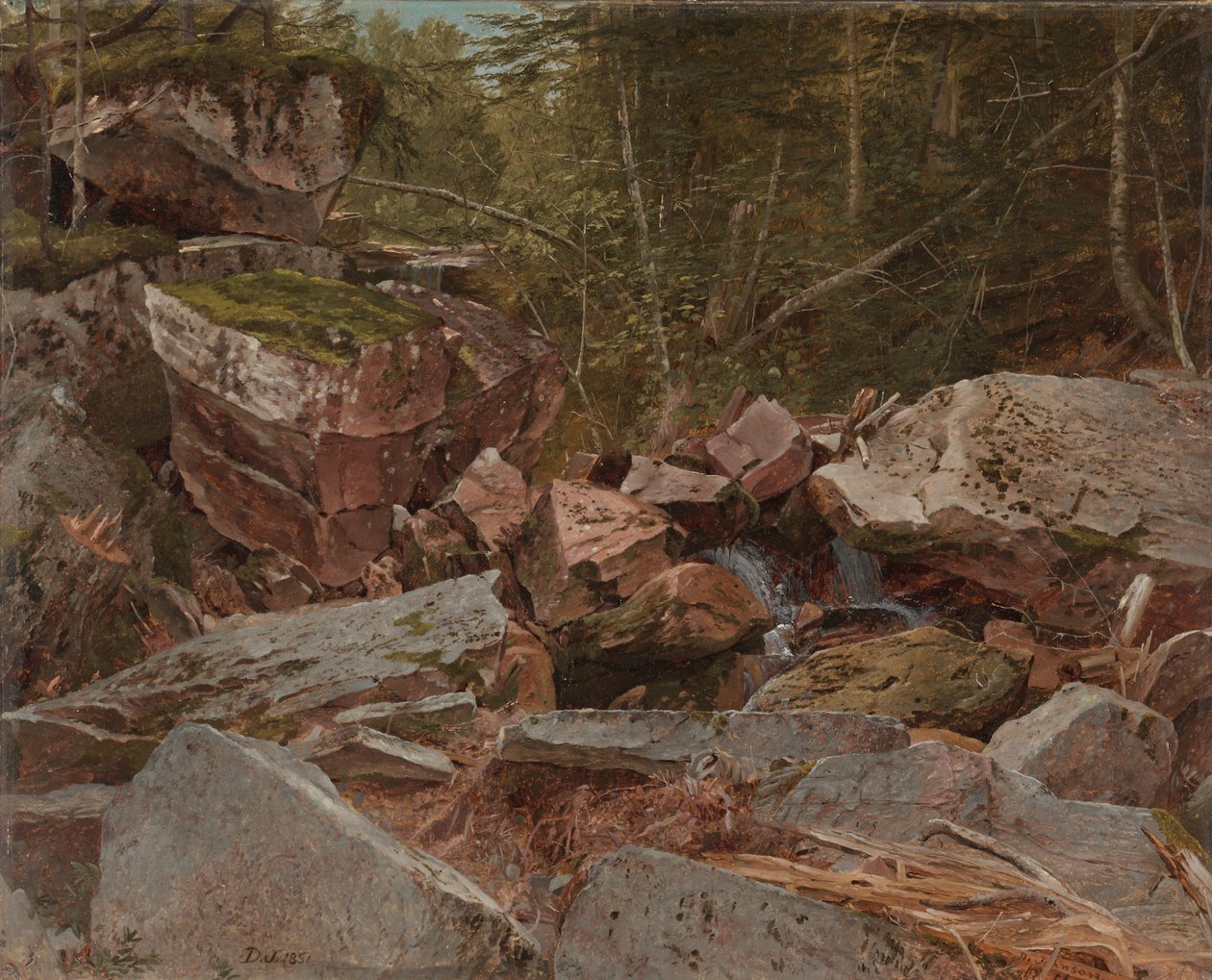 Study, North Conway, New Hampshire, 1851 tekijältä David Johnson