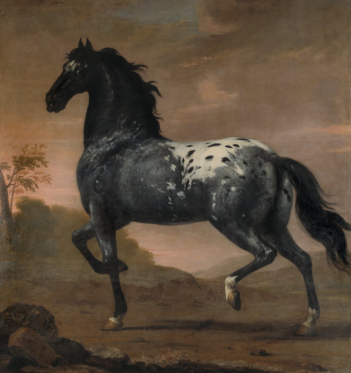 Kaarle XI:n hevonen Sininen Tiikeri, 1673 tekijältä David Klöcker Ehrenstrahl