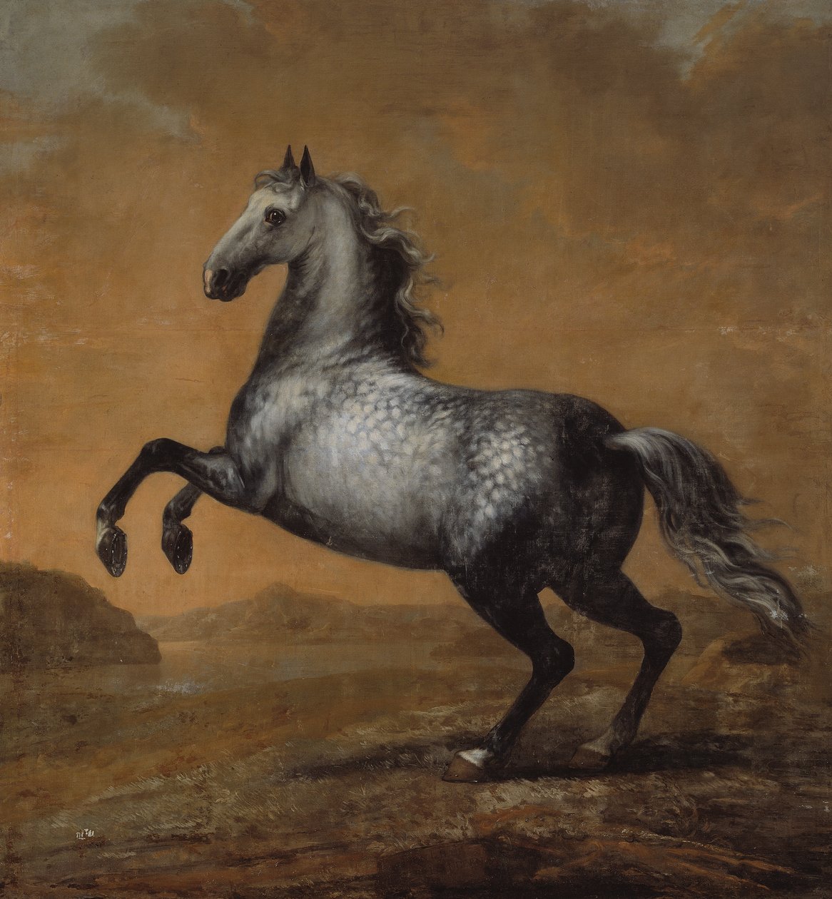 Pieni englantilainen, kuningas Karl XI:n (1655-97) hevonen tekijältä David Klöcker Ehrenstrahl