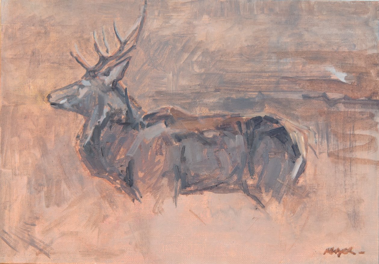 Red Deer Stag, 2023 (öljy kankaalle) tekijältä David Mayer