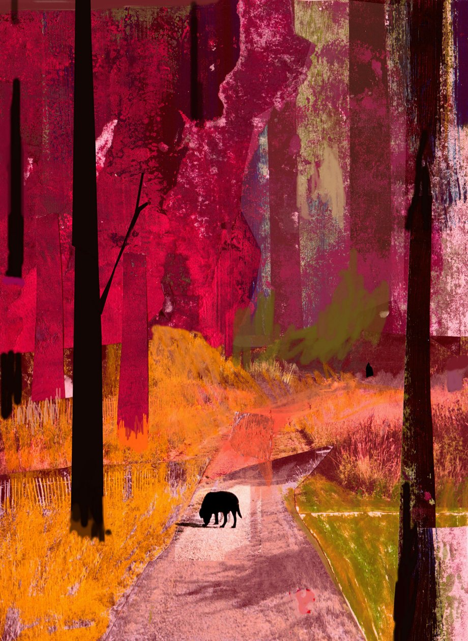 Musta koira, 2013, kollaasi paperille tekijältä David McConochie