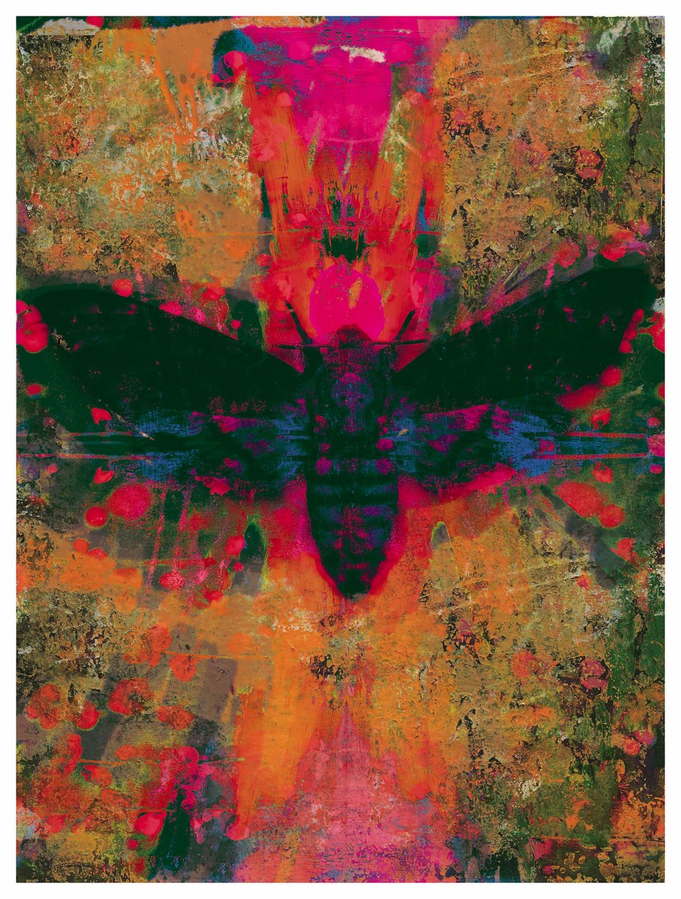 Death Moth Collage, 2016 (kollaasi paperille) tekijältä David McConochie