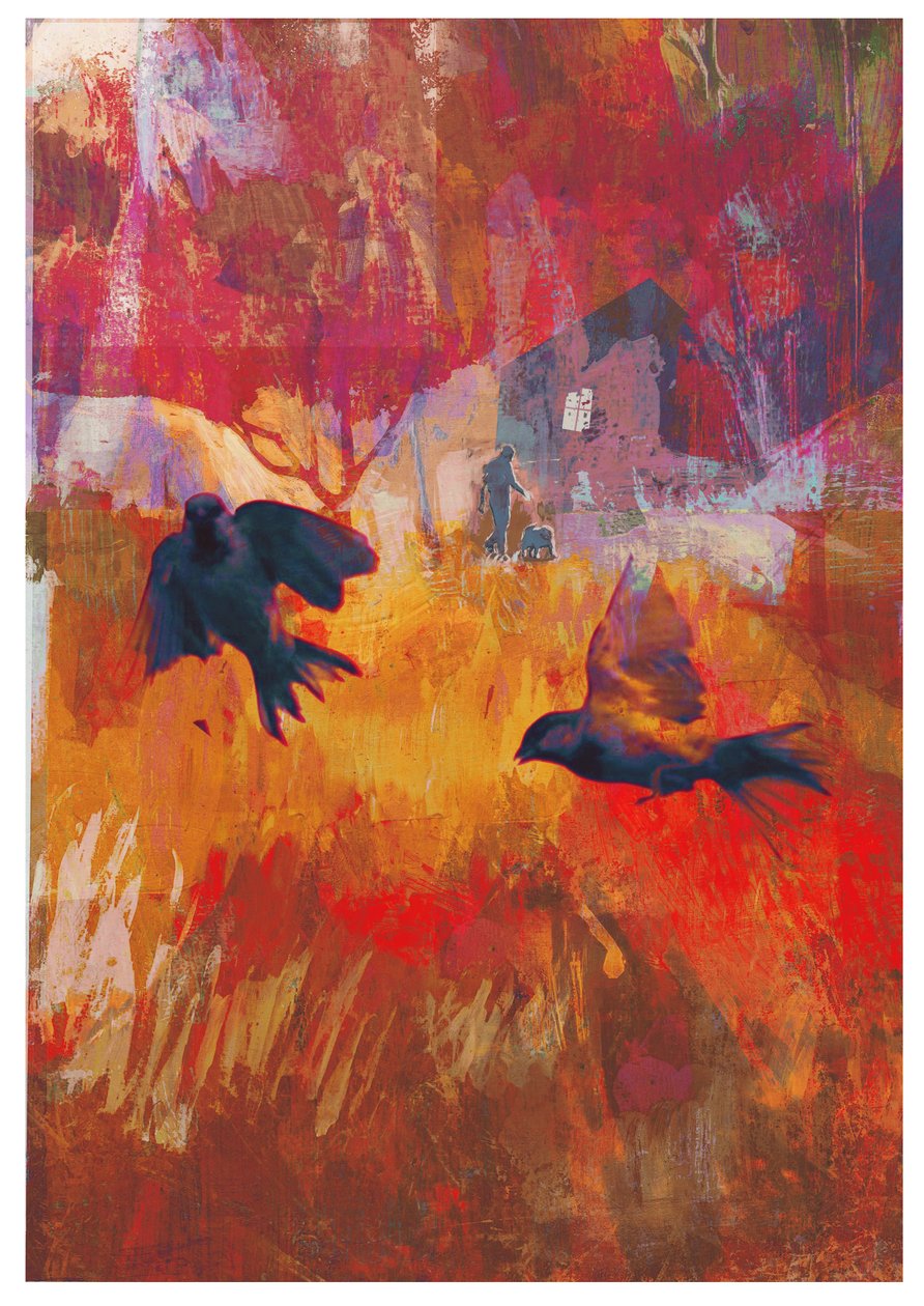 Varpuset, 2016 tekijältä David McConochie