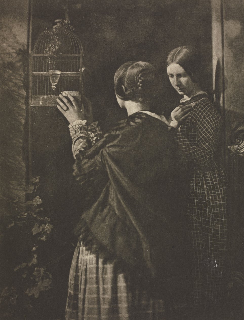 Kameratyö: Lintuhäkki tekijältä David Octavius Hill