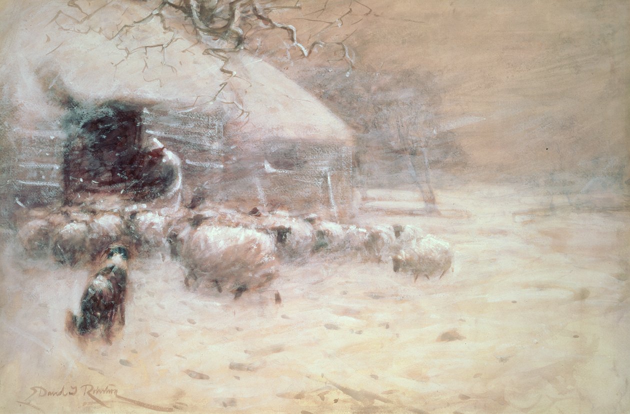 Lampaat - turvasatama tekijältä David Robertson