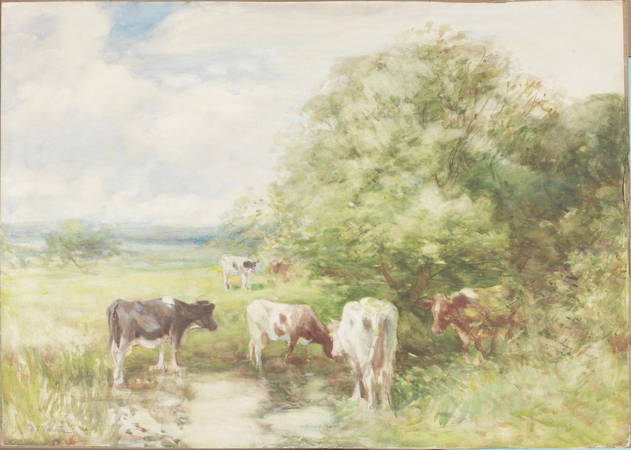 The Shady Pool (acuarelă pe hârtie pe carton) finlandez tekijältä David T. Robertson