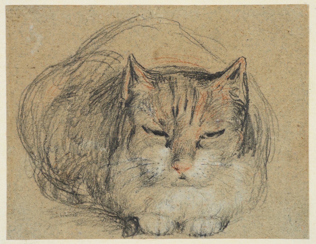 Kissa, tutkimus "The Cut Finger" (recto), n. 1809 (musta, punainen ja valkoinen liitu, mustavalkoinen liitu paperille) tekijältä David Wilkie
