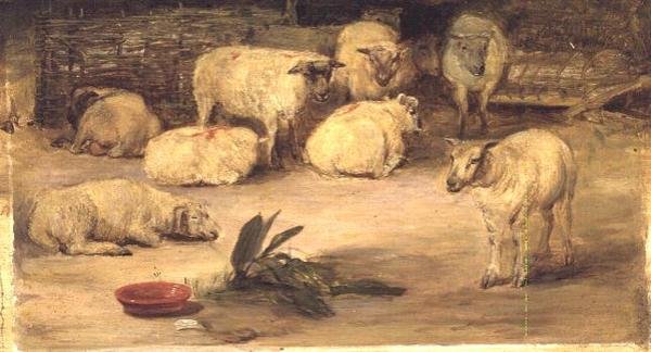 Kymmenen lammasta aidassa tekijältä David Wilkie