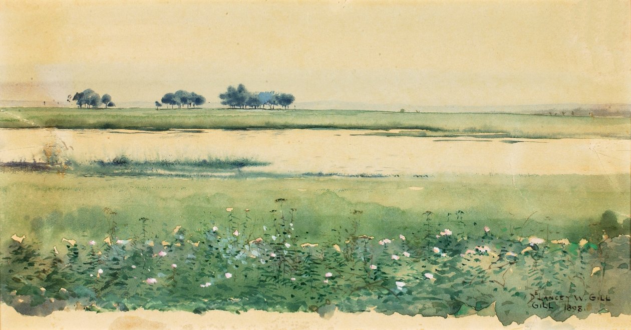 Maisema ja suot, 1898. tekijältä De Lancey Gill