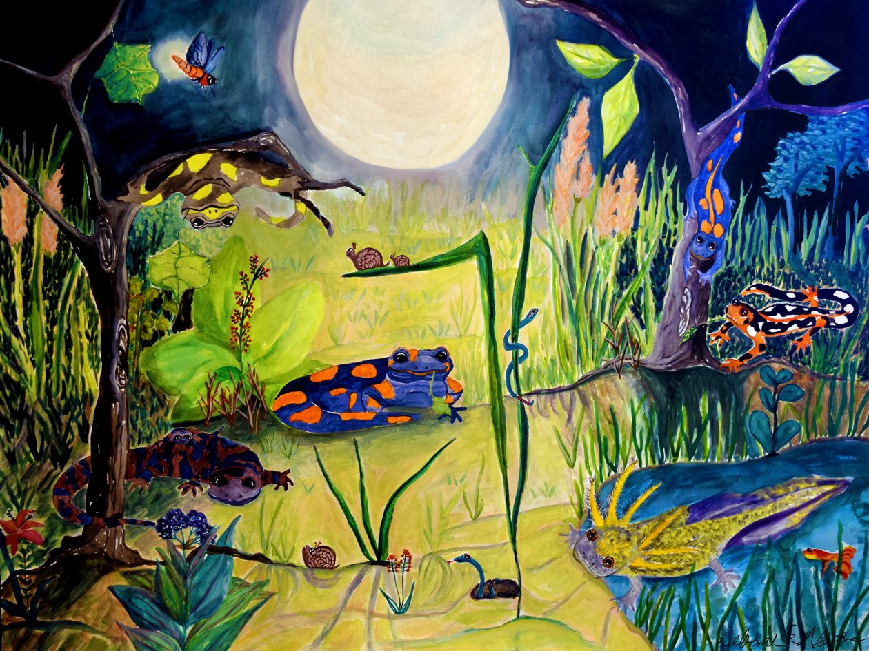 Awake While You Sleep, 2015 (akvarelli) tekijältä Deborah Eve Alastra