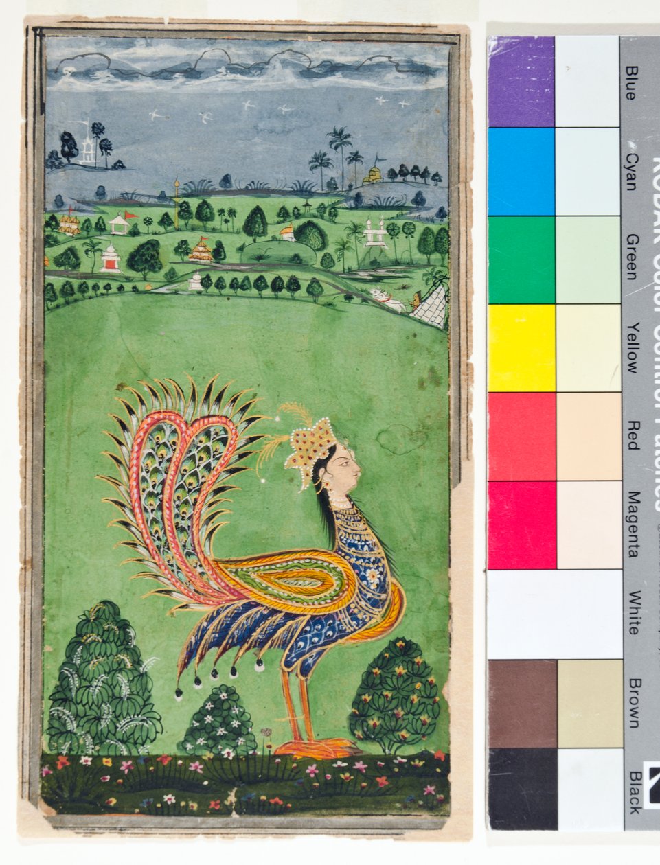 Myyttinen riikinkukko naisen päällä, n. 1750 (läpinäkymätön w/c ja kultaa paperilla) tekijältä Deccani School
