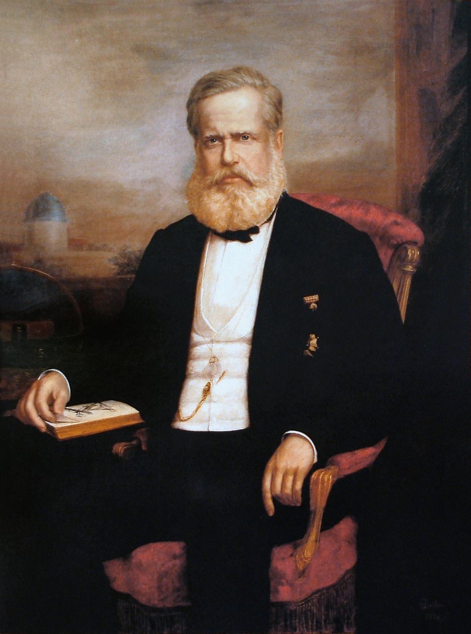 Dom Pedro II: n muotokuva tekijältä Delfim da Camara