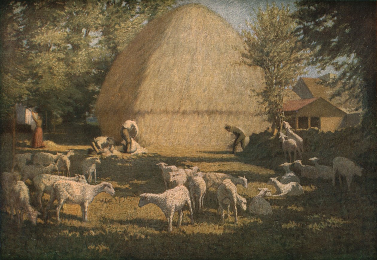 "Sheep Shearing", 1901, c1930. tekijältä Dermod O