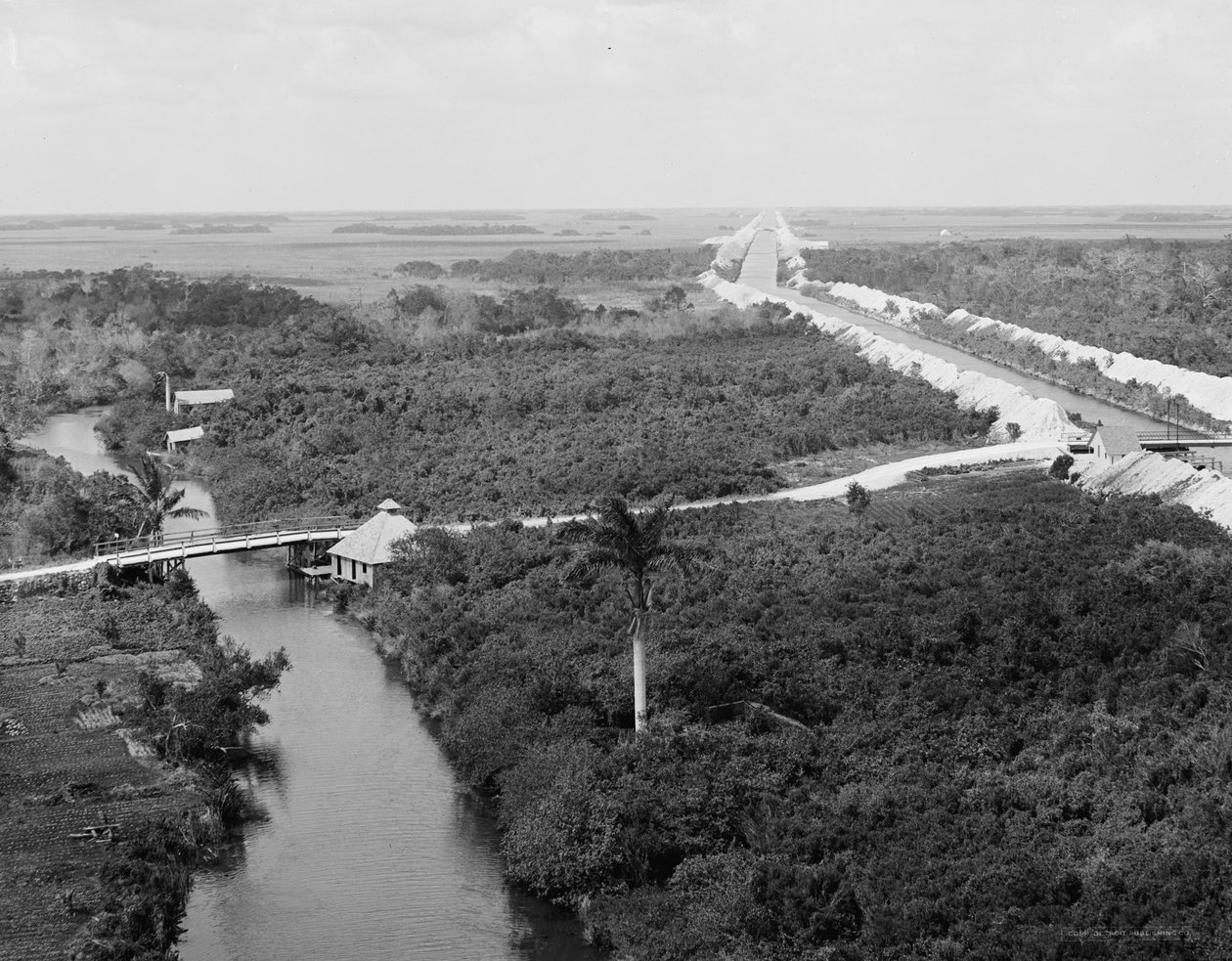 Ojituskanava ja Everglades, Miami, Florida, n.1910-20. tekijältä Detroit Publishing Co.