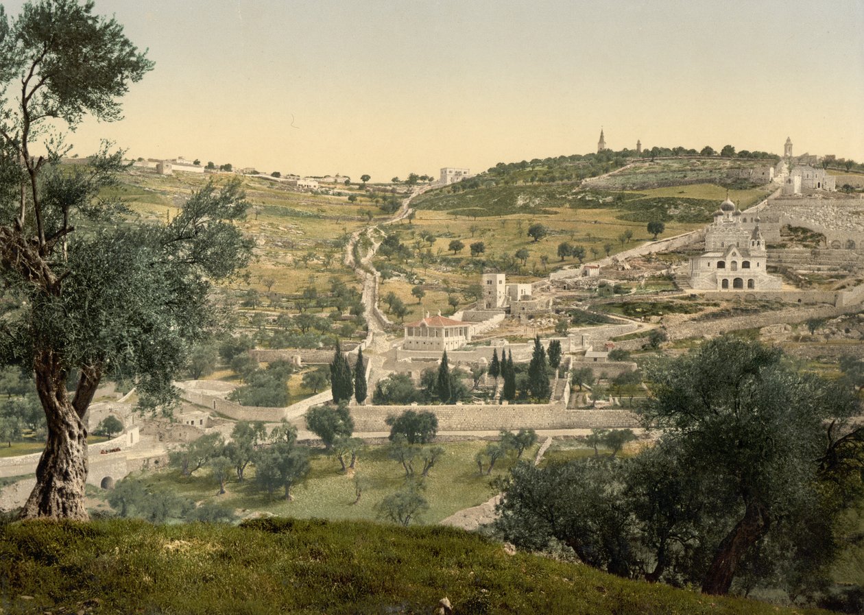 Öljyvuori ja Getsemane, yleiskuva, Jerusalem, n. 1890-n. 1900 (valokuvatulostus) tekijältä Detroit Photographic Co.