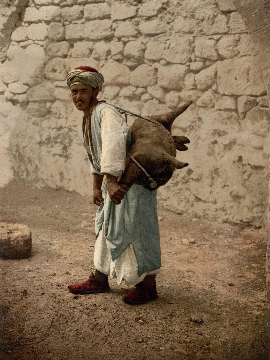 Vesisäiliö Jerusalemista, Pyhä maa, n. 1890–1900 (valokuvatulostus) tekijältä Detroit Photographic Co.