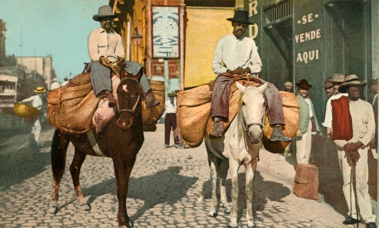 Kasvismiehet, Havanna, Kuuba, 1904. tekijältä Detroit Photographic Company