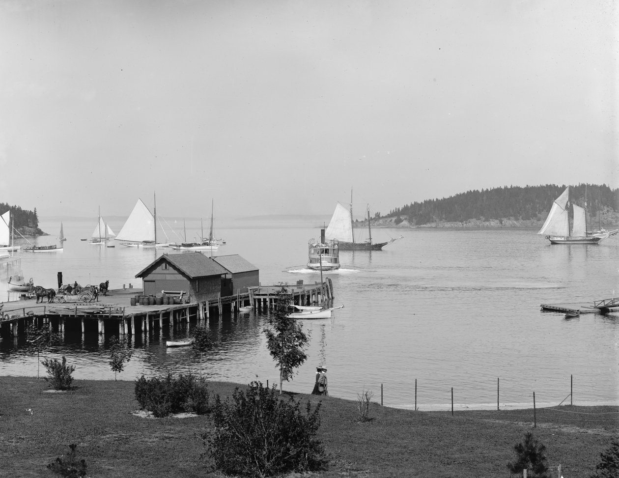 Bar Harbor, Mt. Desert Island, Maine, satama Newport Housesta, noin 1901. tekijältä Detroit Publishing Co.
