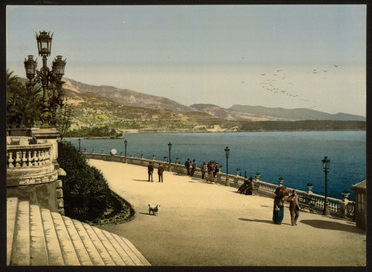 Casino Terrace, Monte Carlo, Riviera, Monaco tekijältä Detroit Publishing Co.