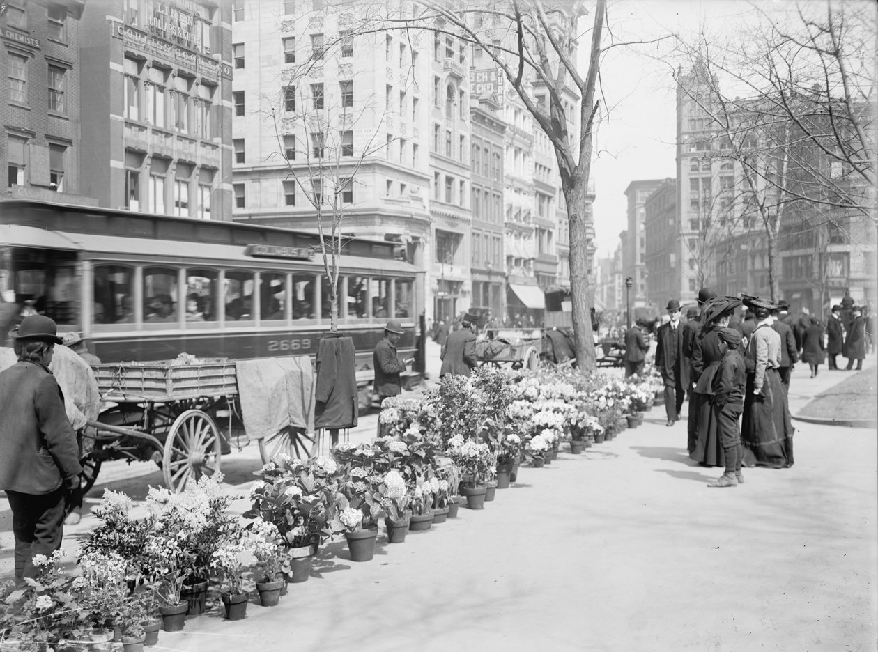 Flower Vendors, Easter Display, New York City, USA, n. 1904 tekijältä Detroit Publishing Co.
