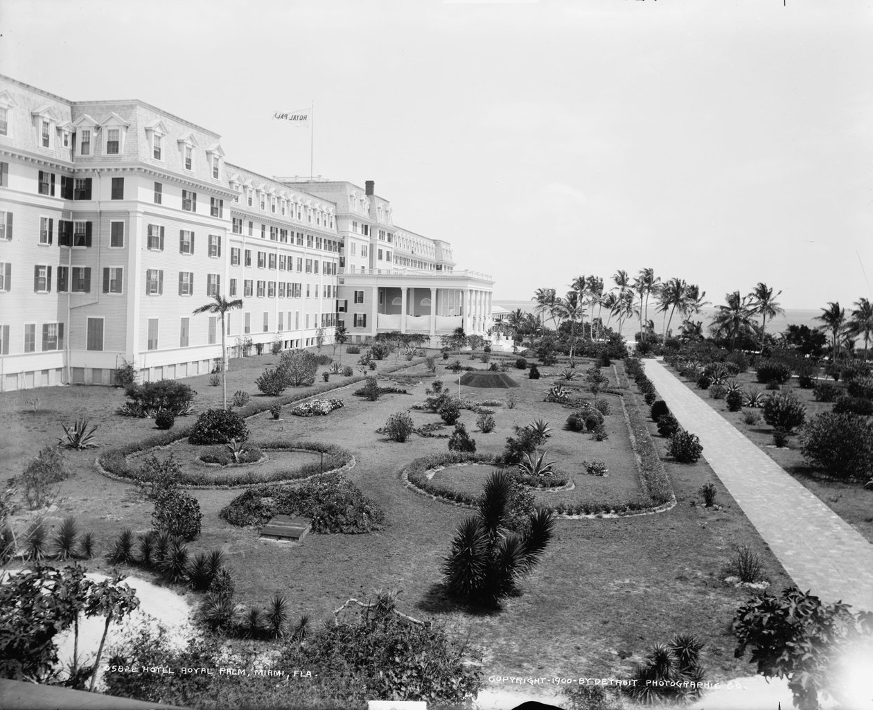Hotel Royal Palm, Miami, Florida, noin 1900 tekijältä Detroit Publishing Co.