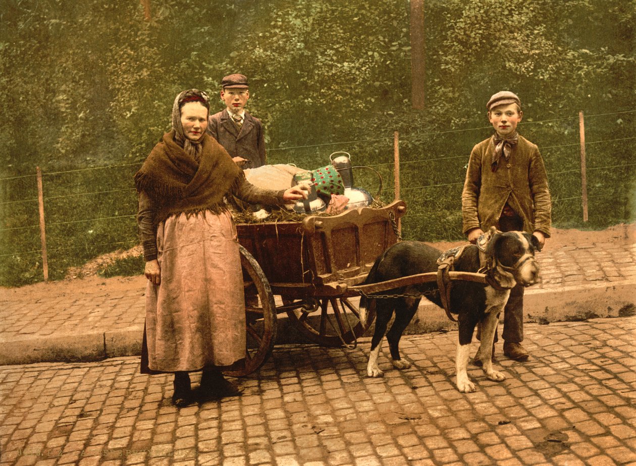 Milk Sellers, Bryssel, Belgia, n. 1900 tekijältä Detroit Publishing Co.