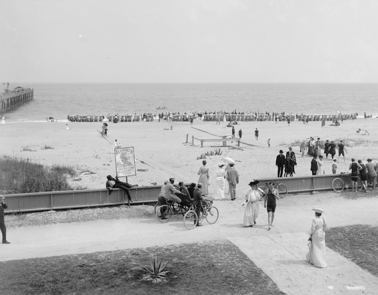 Palm Beach, Florida, n. 1905 (m/w valokuva) tekijältä Detroit Publishing Co.