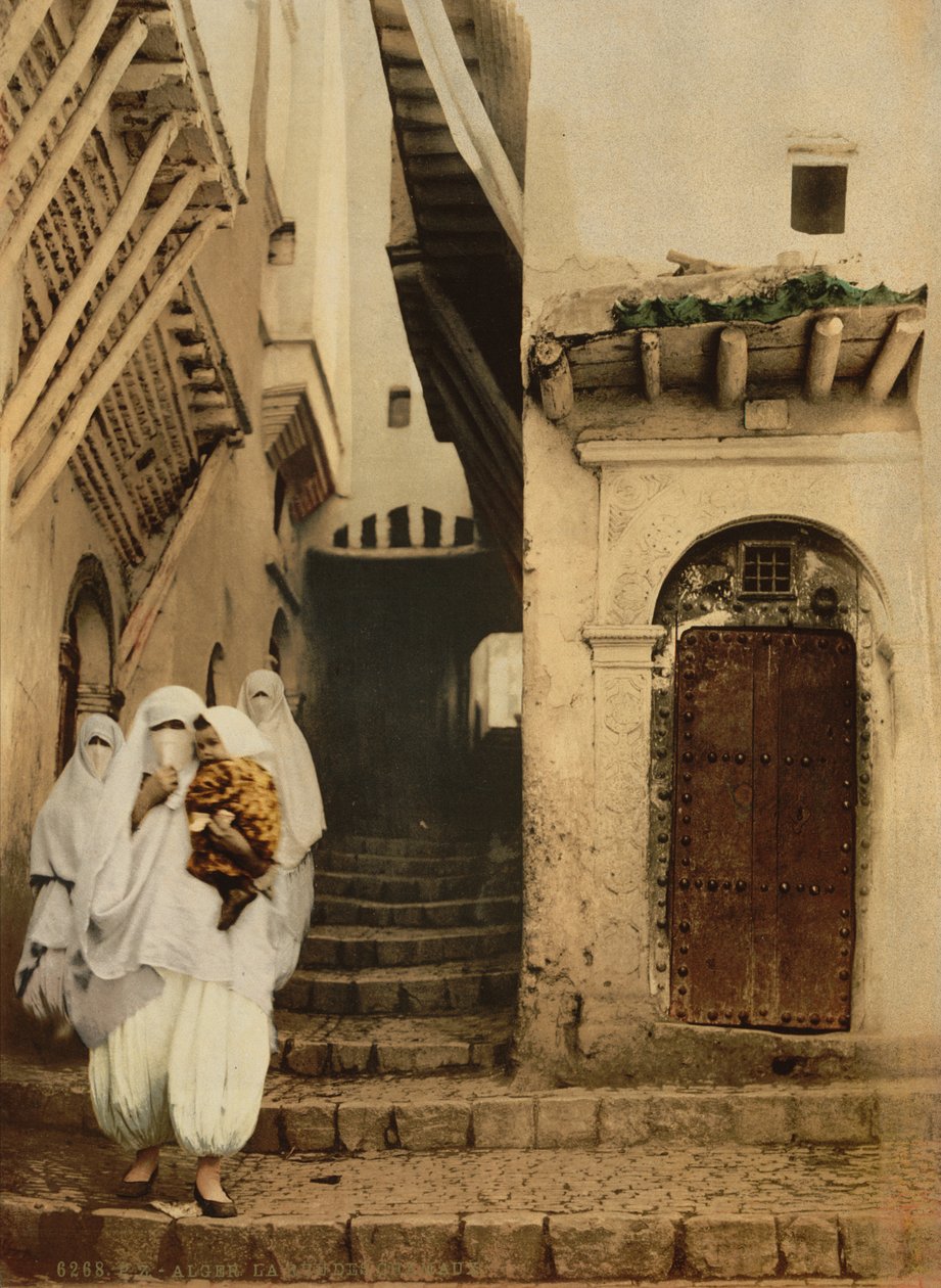 Kamelikatu, Alger, n. 1899 (valokuva) tekijältä Detroit Publishing Co.