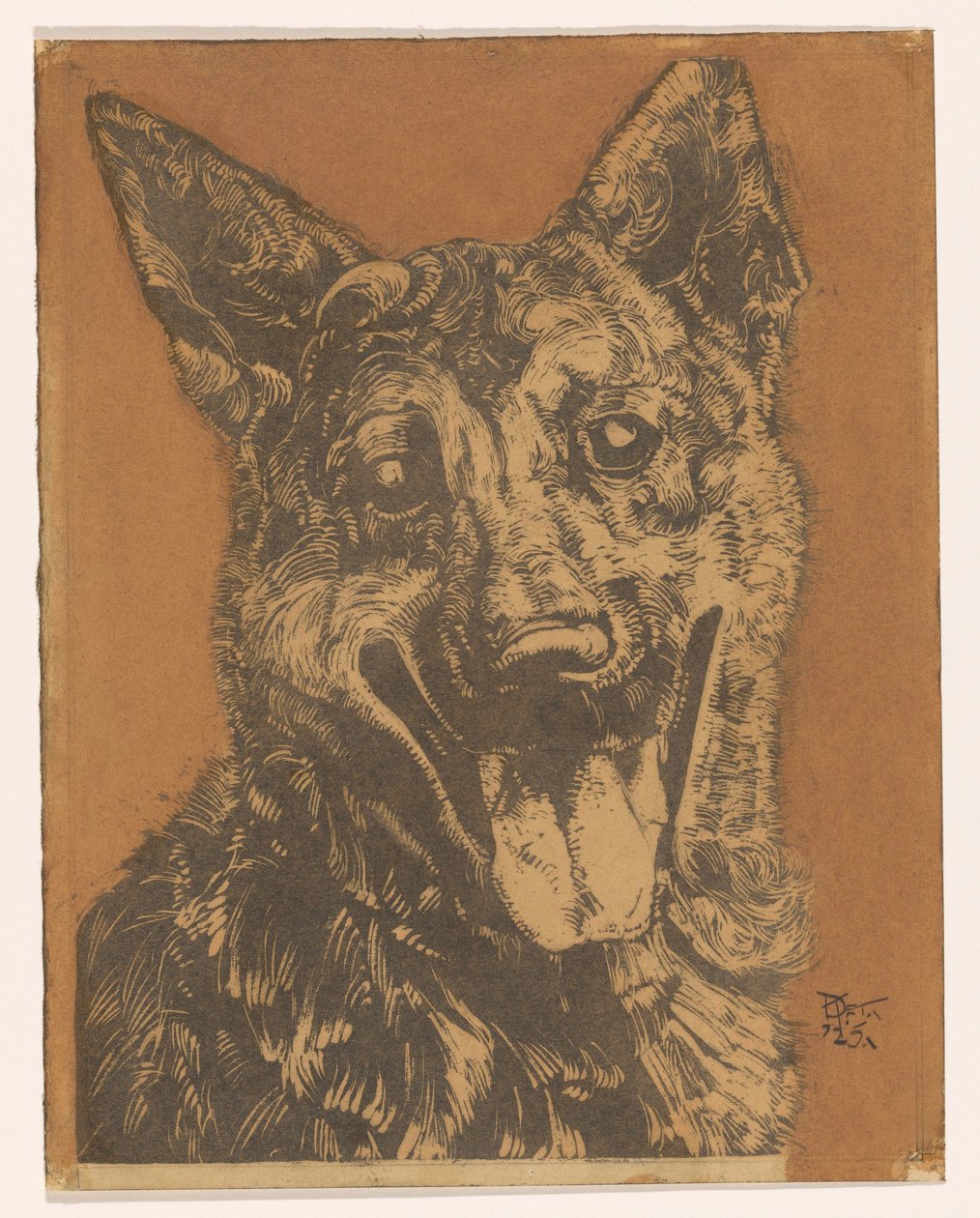 koira Cees tekijältä Dick Ket (signed by artist)