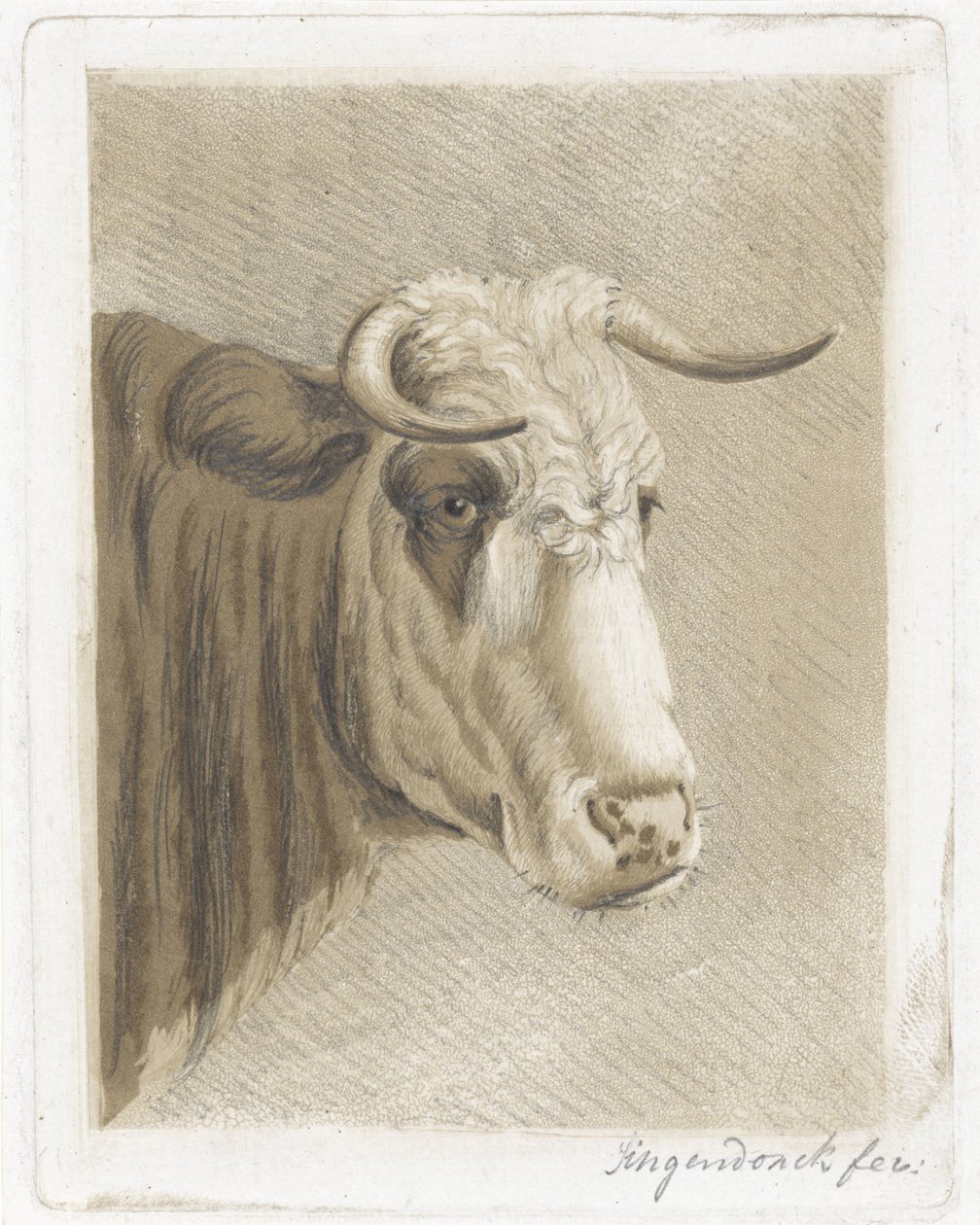 keksikuppi tekijältä Diederik Jan Singendonck (signed by artist)