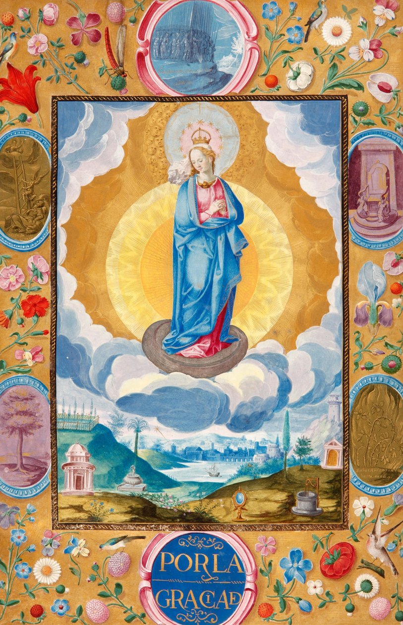 Immacule Conception Arias Pardo de Celan ritarillisuuden täytäntöönpanokelpoisessa peruskirjassa tekijältä Diego Gómez