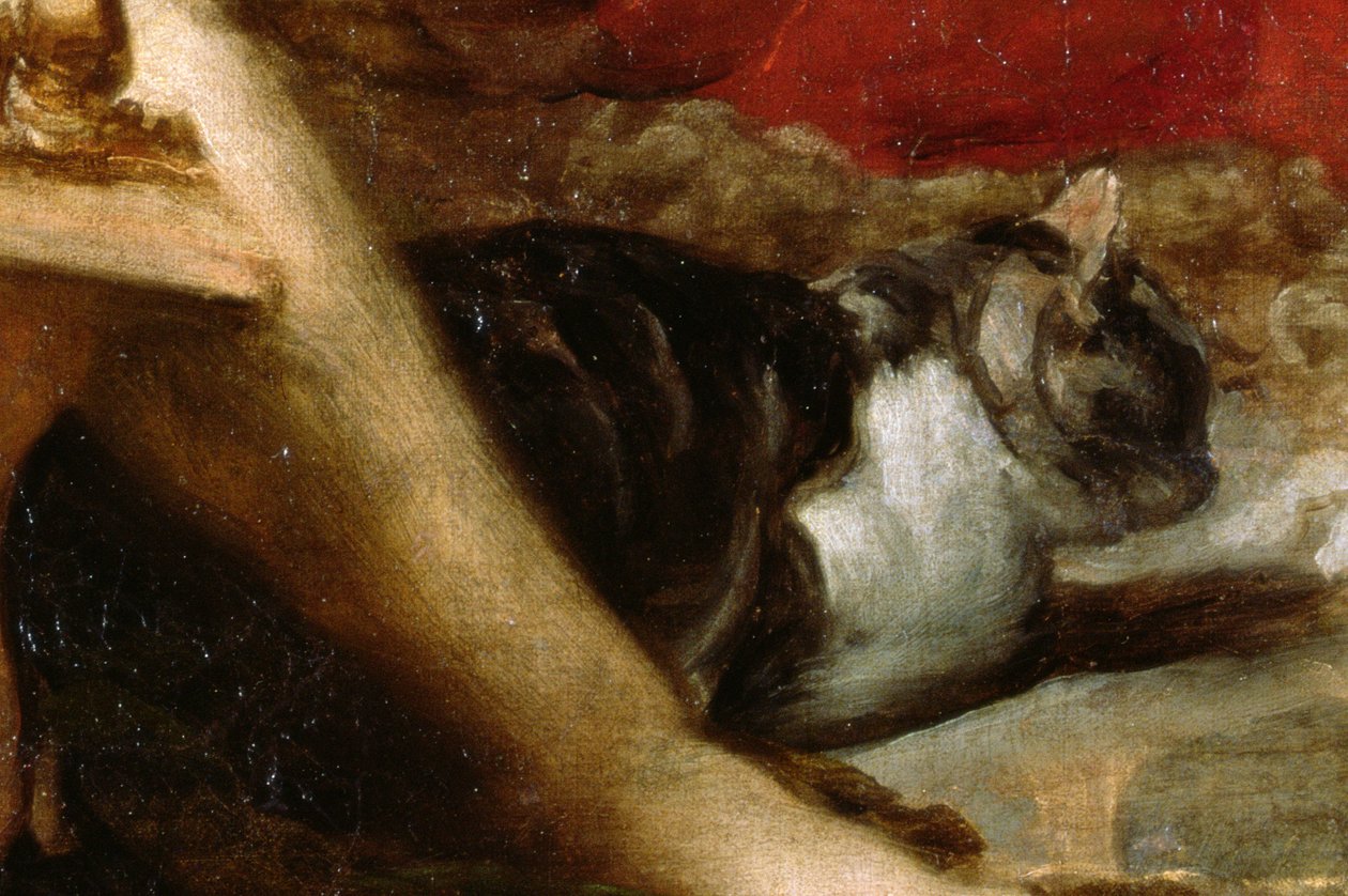 The Fable of Arachne tai The Spinners, n. 1657 öljy kankaalle, yksityiskohta 36741 tekijältä Diego Velázquez