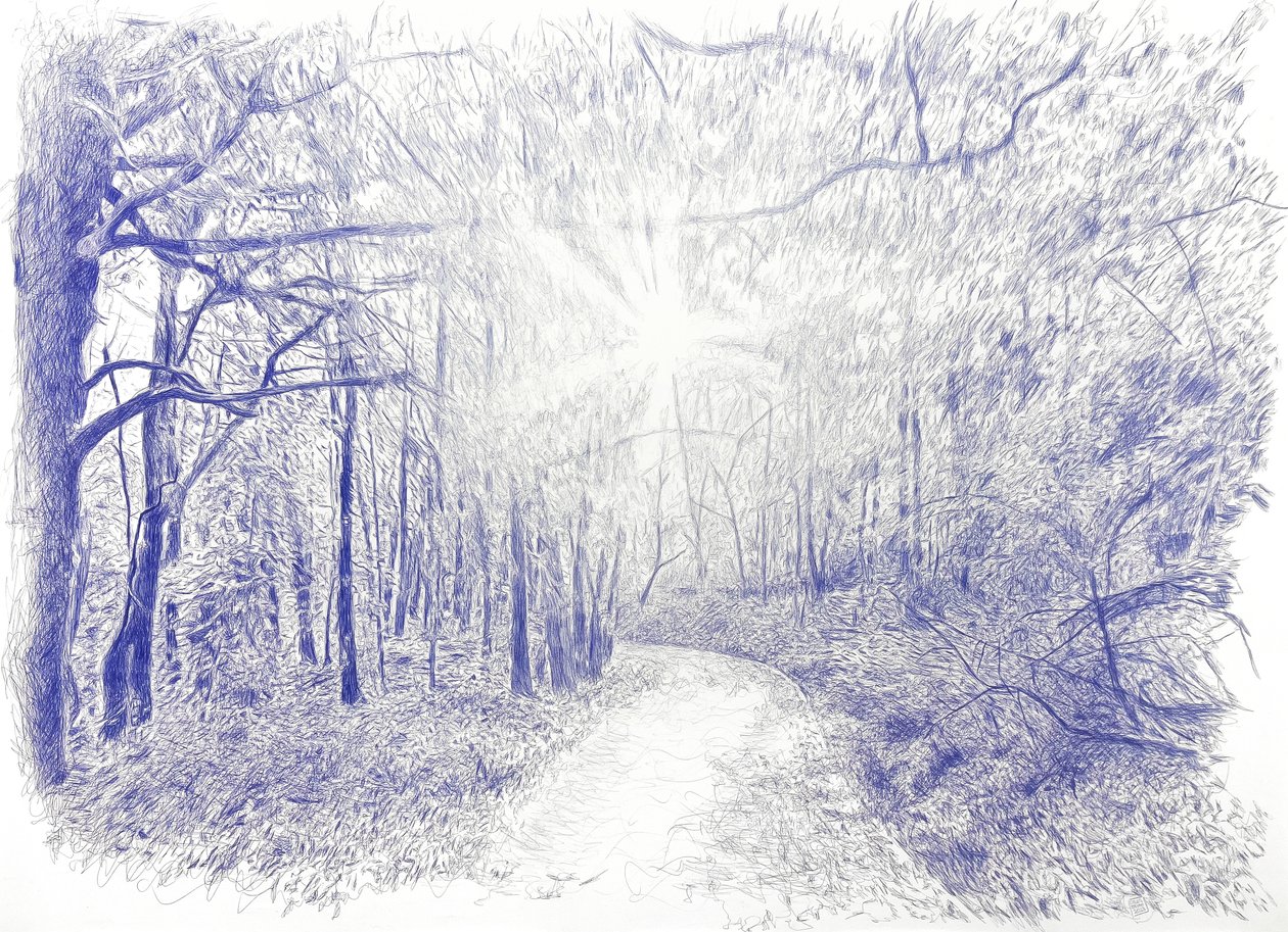 Bosque a contraluz, 2023 (muste kankaalle) tekijältä Diego Beyro