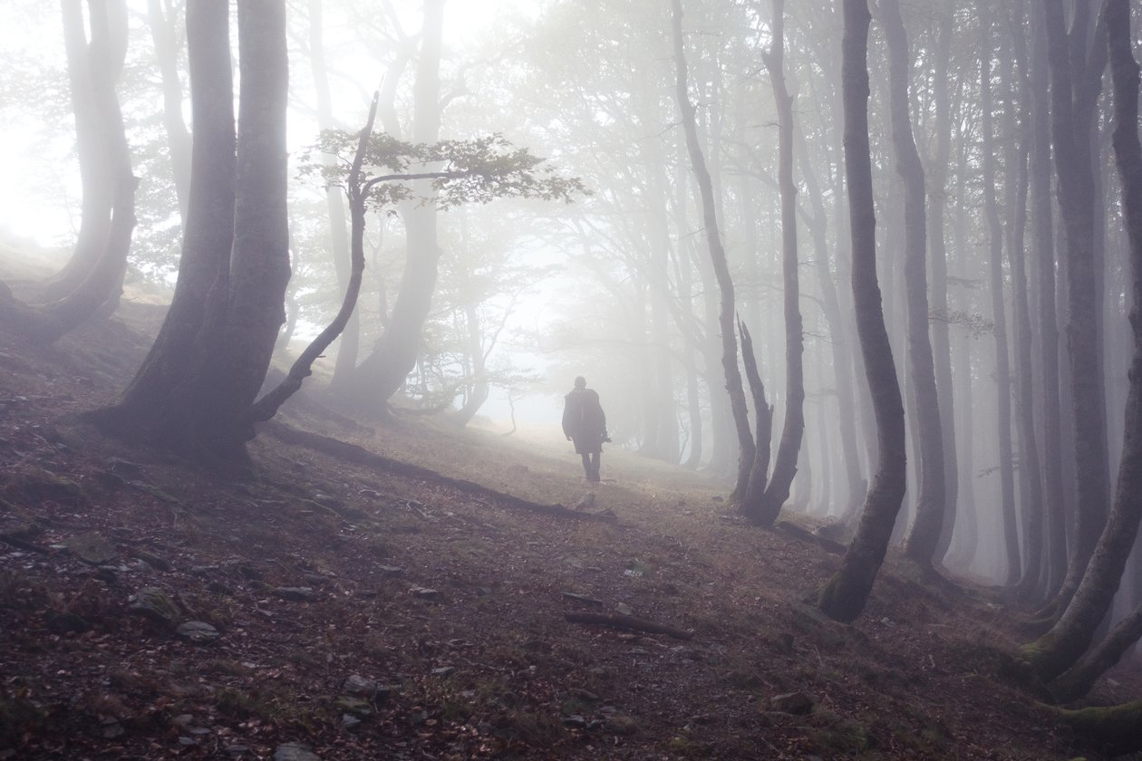 Tie Roncesvallesiin pyhiinvaeltajan kanssa, 2016 (digitaalinen valokuva) tekijältä Diego Beyro