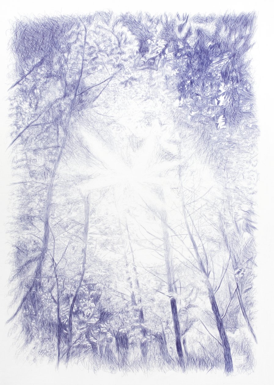 Contraluz, 2024 (muste kankaalle) tekijältä Diego Beyro